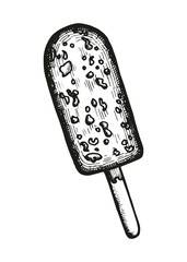 chocolate ice cream on a stick sketch. vector illustration