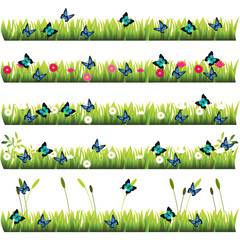 Obraz na płótnie Canvas grass with flowers