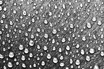 Water drops background. Black and white.