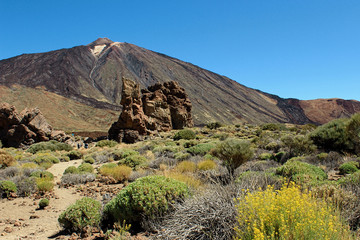 Hiking in the Teide National Park in Tenerife (Canary Islands, Spain, Europe)