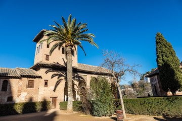 Obraz premium Les jardins andalous de l'Alhambra, Grenade, Espagne