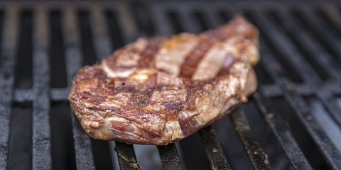 Grilled Steak