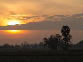Sunrise in The Countryside
