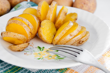 Baked potatoes in their skins yellow on a white plate