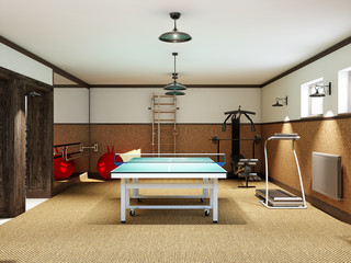 Home gym in the basement with fitness equipment and table tennis - 135987283