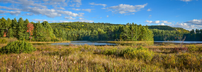 Sunny Summertime marsh wetlands mixed with boreal forest woodland wilderness as viewed from the...