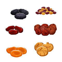 Dried fruits or berries isolated vector icons - obrazy, fototapety, plakaty