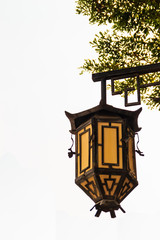 Beautiful old yellow Chinese lantern lamp under tree on the whit