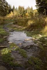 Autumn Colors Cypress Hills Canada