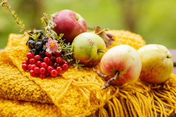 fruit still life with apples flowers and  berries 