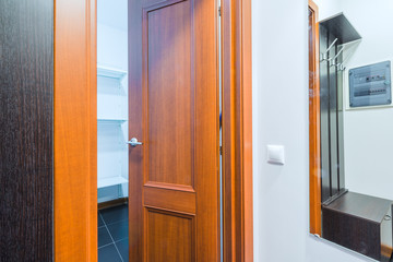 Hallway in modern style