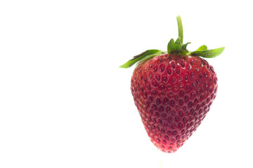 Strawberry cherry red on white isolate,.Front view isolated whit