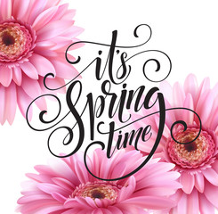 Gerbera Flower Background and Spring Lettering. Vector Illustration