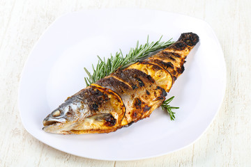 grilled trout