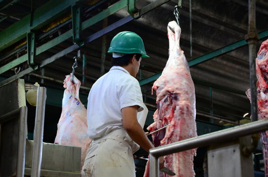 Estadios de carenada de ganado vacuno en frigor&iacute;fico, cami&oacute;n, media res, carne