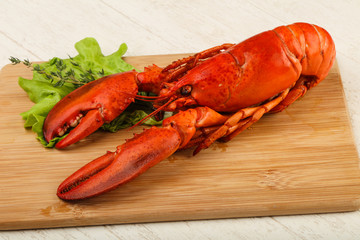 Lobster