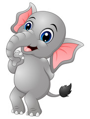 Cute elephant cartoon