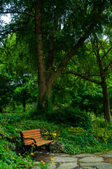 Lafayette Square Park