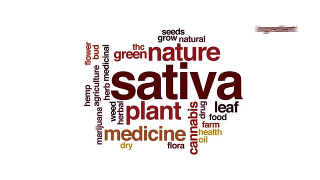Sativa animated word cloud, text design animation.