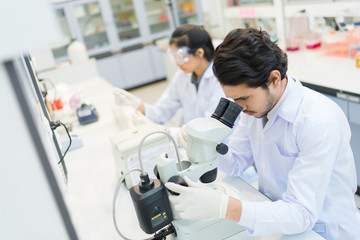 group of scientists working at the laboratory .she use microscop