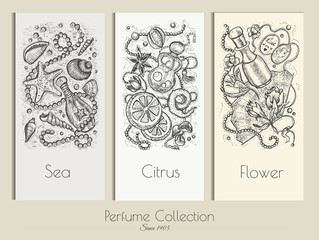 Hand drawn set with engraved illustration of sea, citrus and flower fragrances