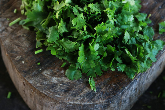 Fresh green cilantro, coriander leaves  with slice on wooden surface