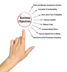 Business Objectives