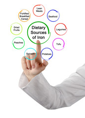  Dietary Sources of Iron
