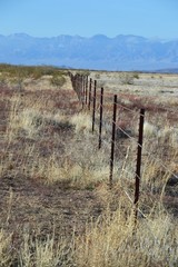 Obraz premium Desert Fence