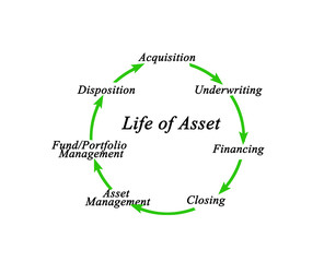Life of Asset