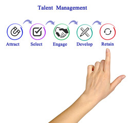 Talent  Management