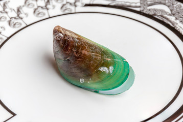 Boiled green mussel one piece served on luxury ceramic plate in