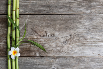 frangipani flower and bamboo on the wooden background
