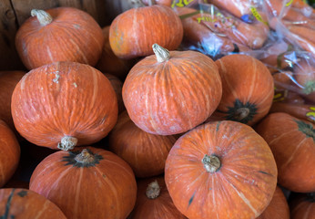 Lot of chestnut pumpkins sold on farmers market