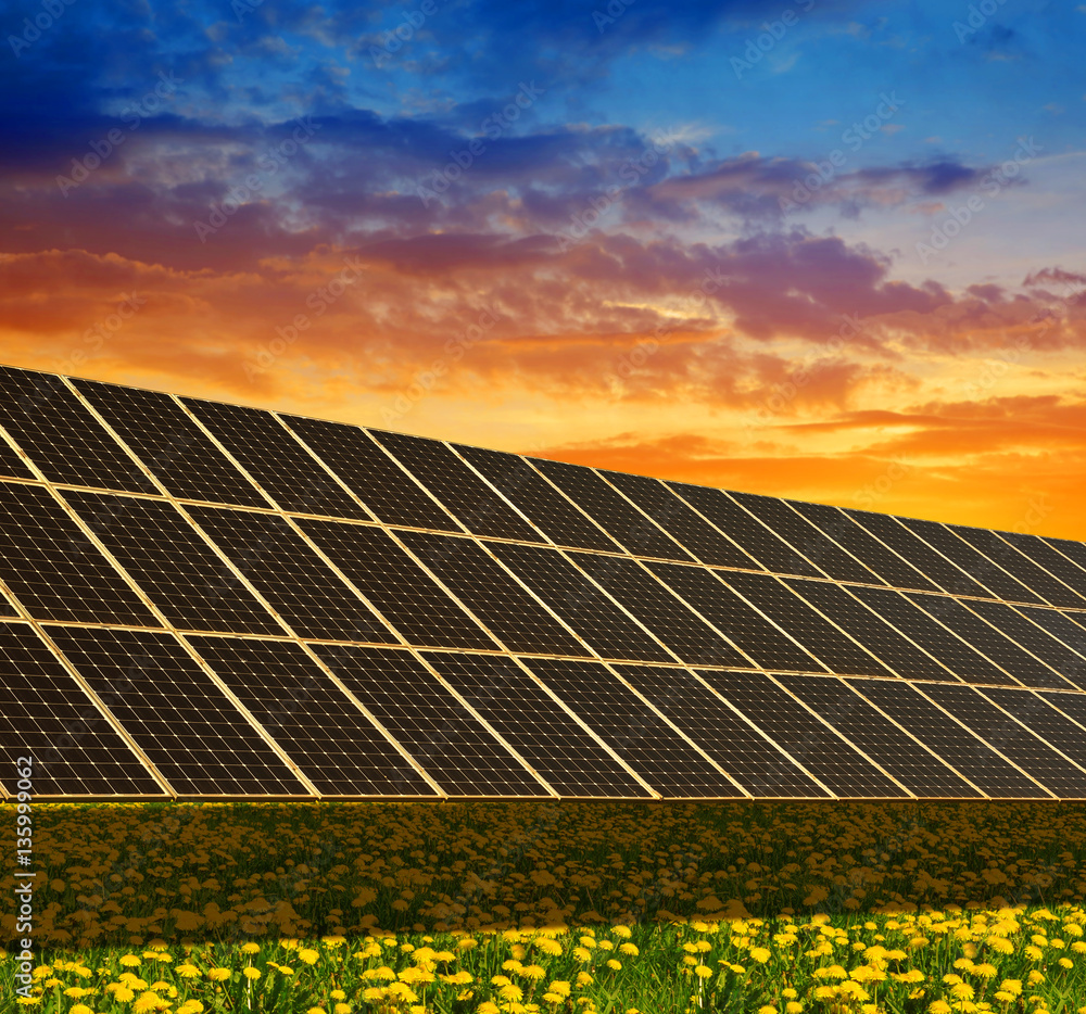 Wall mural solar power station on the spring flowering meadow at sunset. photovoltaic panels generate clean ene