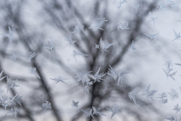 Frosted glass at -5 Celsius degrees.