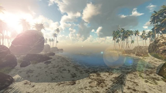 loop rotate camera at tropical beach with palms