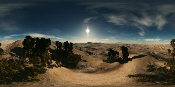 aerial vr 360 panorama of palms in desert. made with the one 360 degree lense camera without any seams. ready for virtual reality