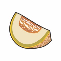Melon Vector Icon