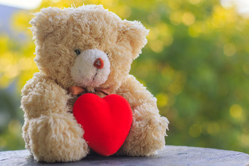 Brown teddy bear holding a red heart on a wooden table with gree