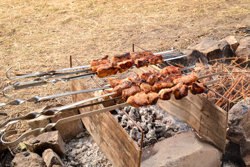 Fototapeta premium Barbecue, meat on the fire, nature, steak on a grill. Kebabs on skewers cooked on the coals in the smoke. Food outdoors, relaxation.