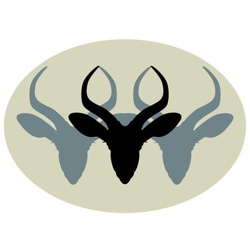 gazelles head vector illustration  set