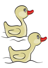 Duckling