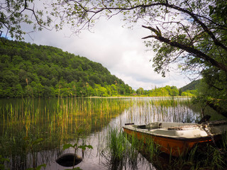 abandoned boat in the lake