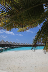 Fototapeta na wymiar Traditional Maldives bungalows on wooden pier in tropical paradise