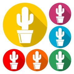 Fototapeta premium Cactus Collection Vector - Illustration
