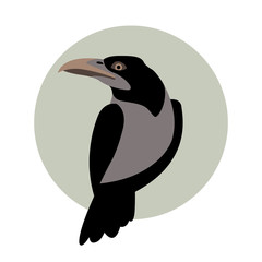 Crow vector illustration style Flat