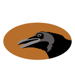 Crow head  vector illustration style Flat