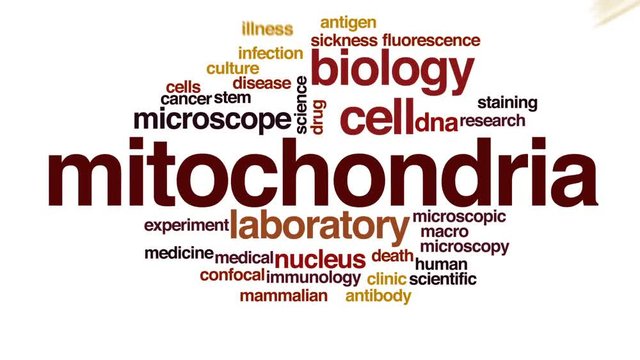Mitochondria animated word cloud, text design animation.