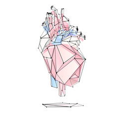 Low poly style isolated anatomical heart in red, blue and white